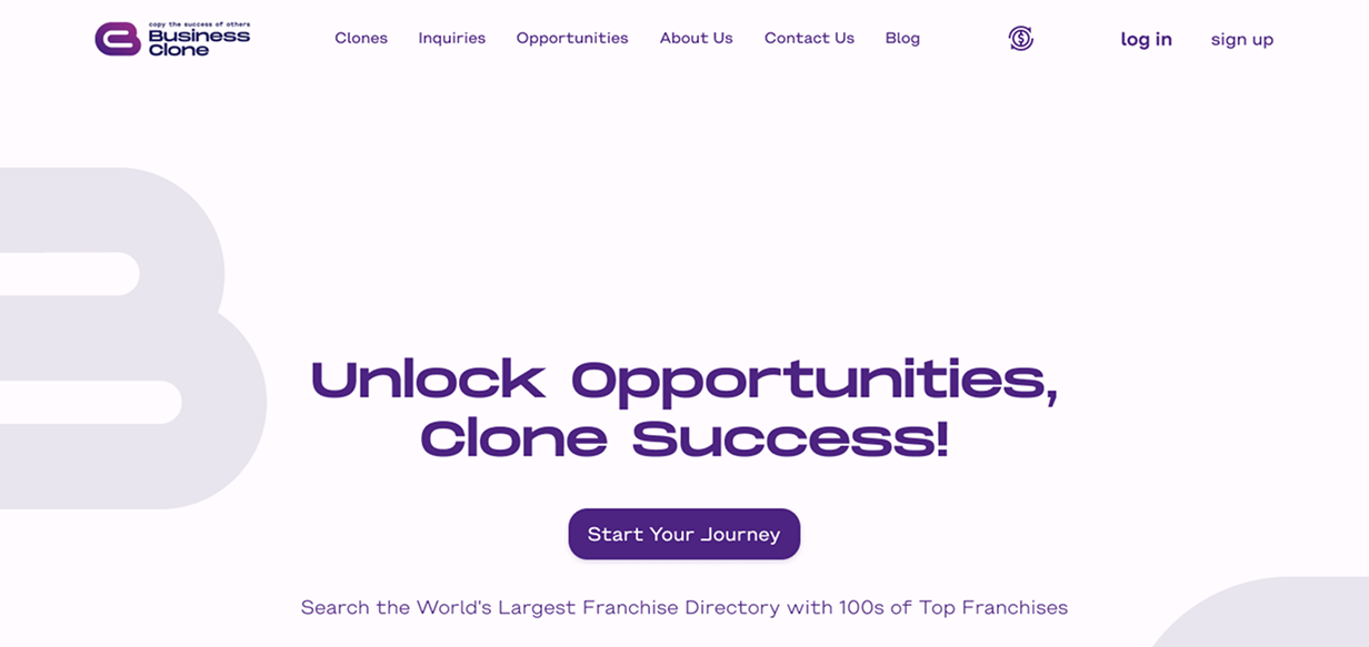 Primary color palette for the Businessclone brand: navy blue (#191957), purple (#4B2280) and crimson (#942D88) with their CMYK, RGB and Pantone values